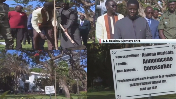 [VIDEO] JOURNÉE MONDIALE DE L’ENVIRONNEMENT | L’appel du président Bassirou Diomaye Faye 
