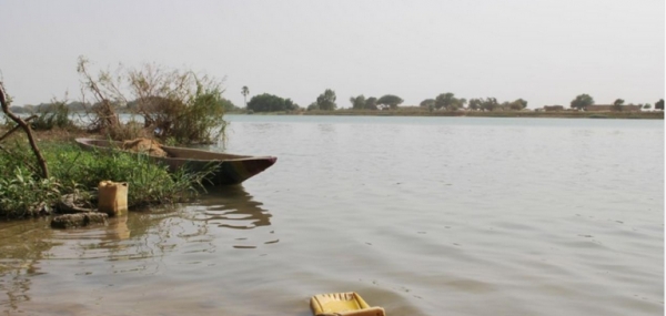  Baisse générale du niveau de l’eau dans le bassin du fleuve Gambie 