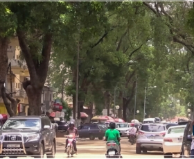 Reboisement : Babacar Diop veut que Thiès devienne une “ville sans soleil”