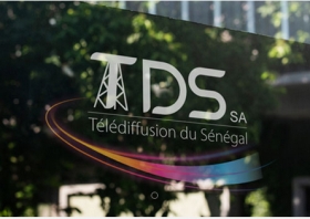 Perturbations sur le Réseau de Télédiffusion : Les éclairages de la TDS-SA